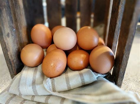 Local Brown Eggs ( Cage Free) | Twilight Acres Creamery