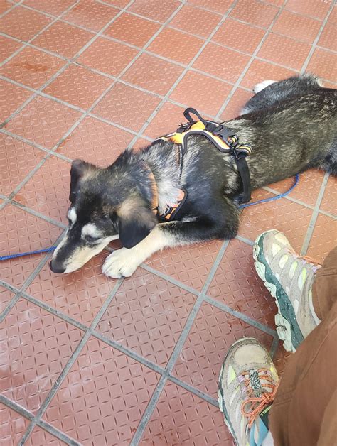 Peoria County Sheriff's Office | Peoria IL