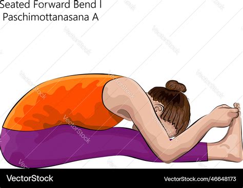 Seated forward bend 1 pose paschimottanasana Vector Image