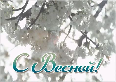 Красивая открытка с весной | Открытки Онлайн