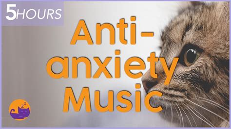 Calming Music for Cats with Anxiety - 5 HOUR Soothing Music! - YouTube