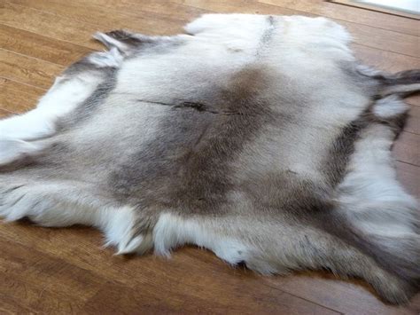 Animal Fur Rugs | Bryont Blog