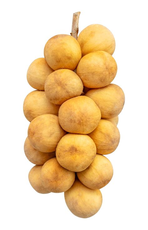 premium photo langsat fruit isolated  white background