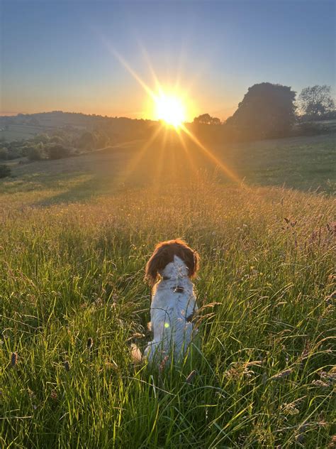 Taylor-Wilde Chocolatier | Facebook