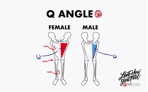 why do men get on one knee to propose