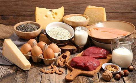 Продукты с большим содержанием белка для роста мышц