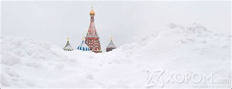 Өвөл цагийн чимэг хөвөн цагаан цасны үзэсгэлэнг биширье