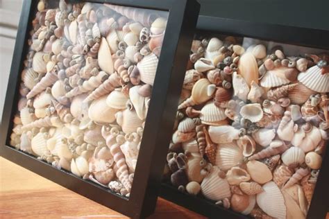 Top 10 shell crafts ideas and inspiration