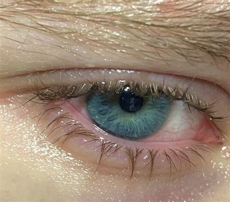 Aesthetic Eyes, Aesthetic Photo, Pretty Eyes, Beautiful Eyes, Green ...