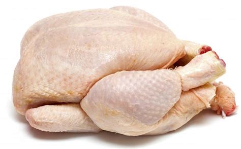 ayam daging perumperindocoid