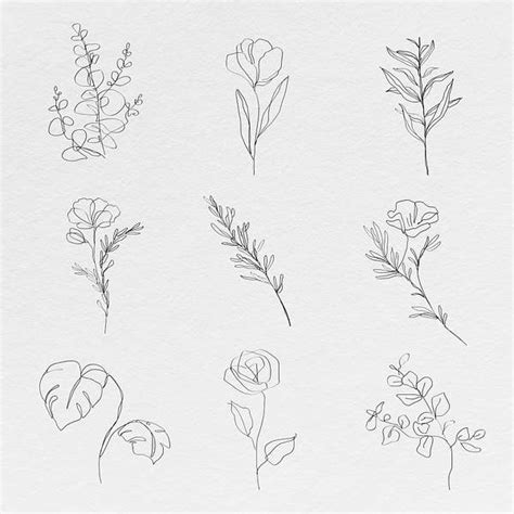 flower  vectors  illustrations drawings png clip art