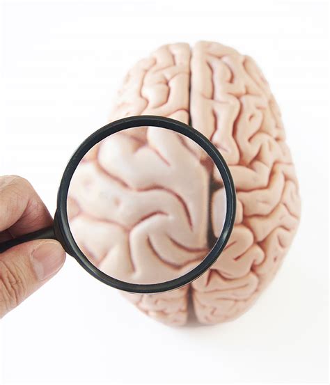 The Seven Lenses of Modern Psychology | The Voice