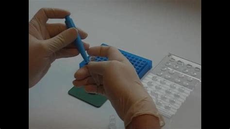 PCR Thermal Cyclers Support | Thermo Fisher Scientific - US