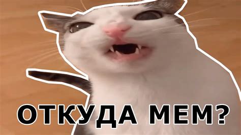 КОТ ХРУСТИТ ОТКУДА МЕМ? - YouTube
