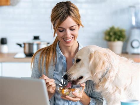 Yogurt or No-gurt: Should You Give Yogurt to Your Dog? | Fruitables