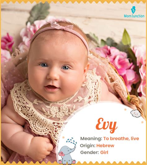 Evy Name Meaning, Origin, History, And Popularity
