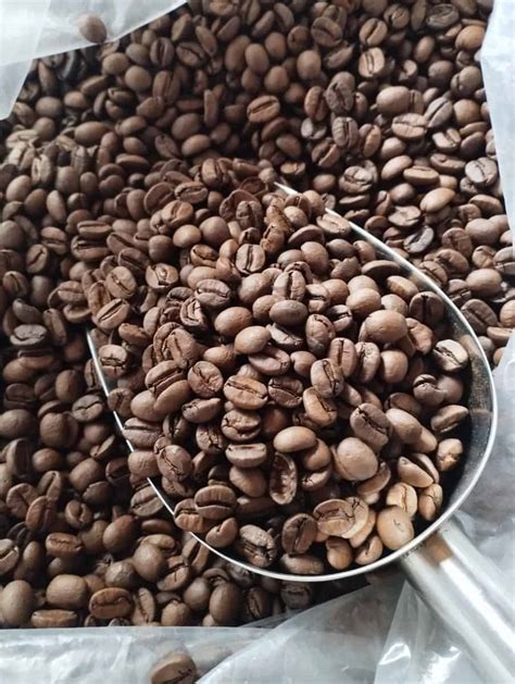 Arabica Roasted Coffee - Commercial | K-Agriculture