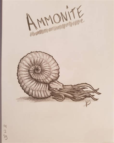 ARK - Ammonite by LyliArt on DeviantArt