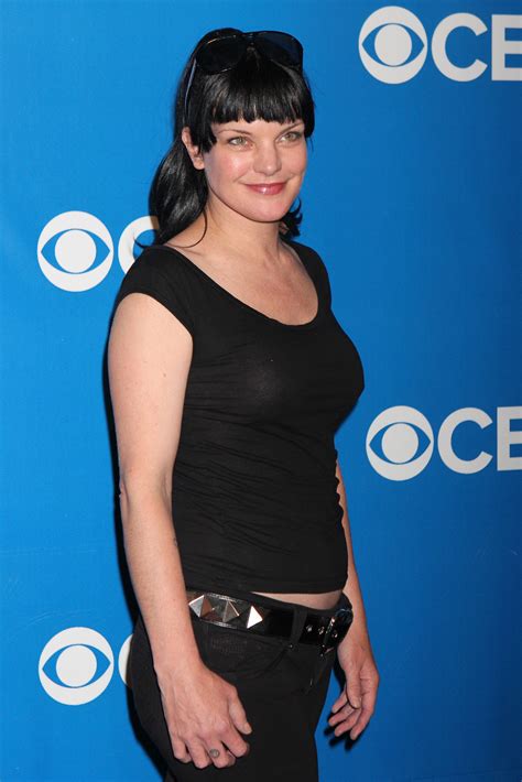 Pictures of Pauley Perrette - Pictures Of Celebrities