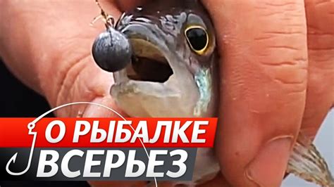 Микроджиг. "О Рыбалке Всерьез". - YouTube