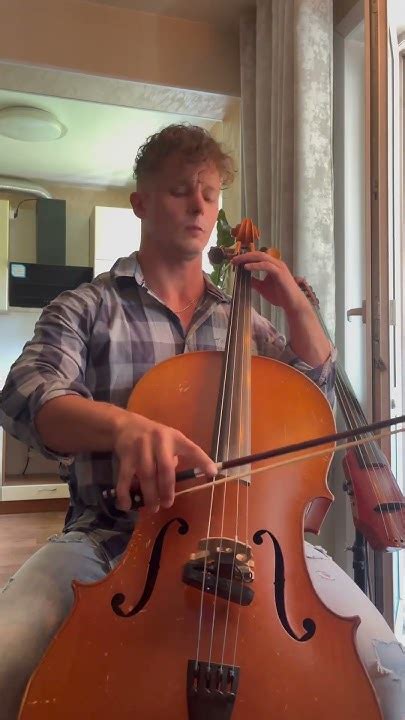 🎻🫶 БОЛЬШАЯ скрипка #скрипка #виолончель #кринж #практика #репетиция # ...
