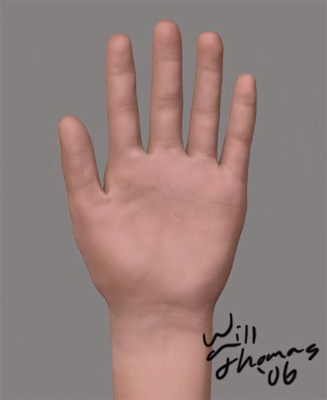 hand wip updated feb  zbrushcentral