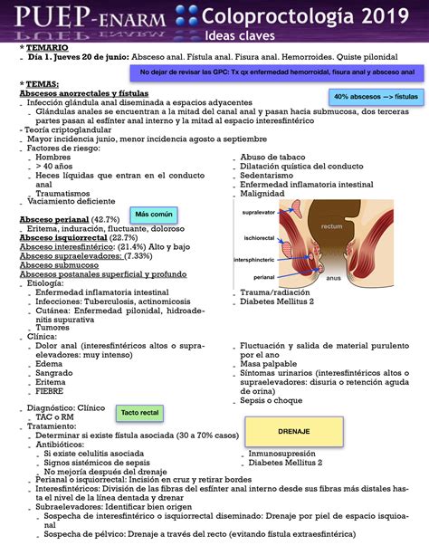 Coloproctologia - RESUMEN - * TEMARIO - Día 1. Jueves 20 de junio