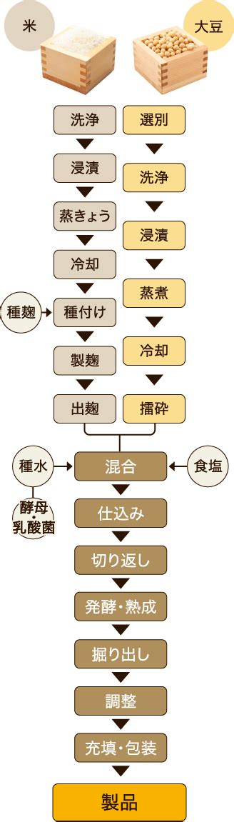 信州味噌を知る | 信州みそ巡り