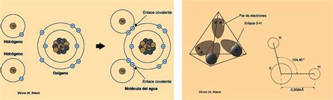 O Que É Água Inodora - Incolora, inodora e insípida - Encima de la niebla