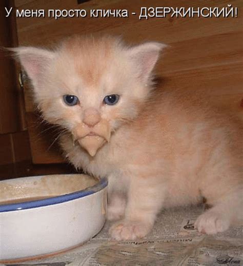 Открытка У меня просто кличка — Дзержинский! | Настроение в картинках