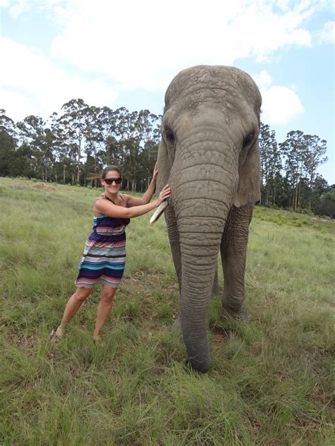 Johanna Around The World: Tenikwa & Cango Wildlife, Cango Caves ...
