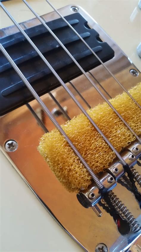 Best foam/mute for P Bass | Page 4 | TalkBass.com