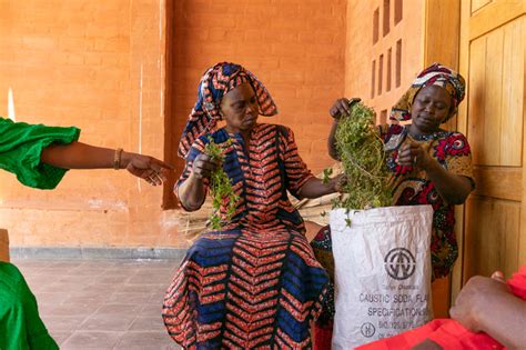 Grantees inspire reporting: Global Health Security Call | EJC.net