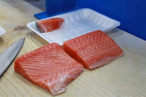 Salmon Episode - Free photo on Pixabay - Pixabay