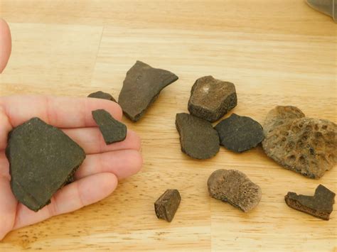ounce bulk fossilized turtle shell fragments     grade
