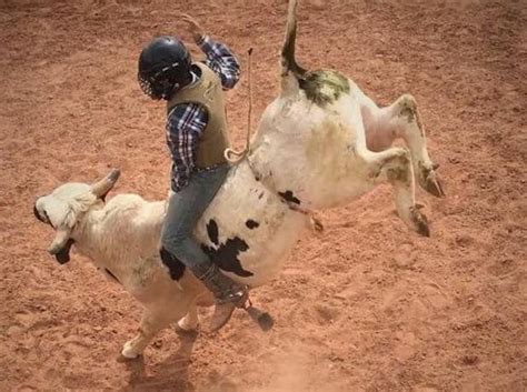 Watch: 19-Time Bull Riding Champion Sets Sights on New Pursuit for ...