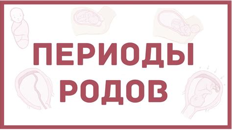 Периоды родов - физиология - кратко - YouTube