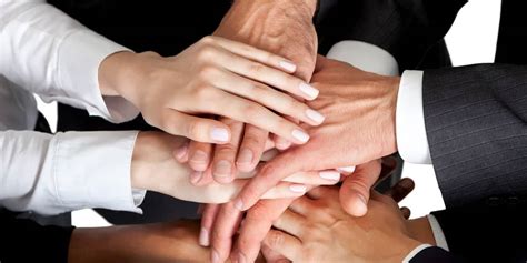 benefits  collaboration organizations teams nutcache