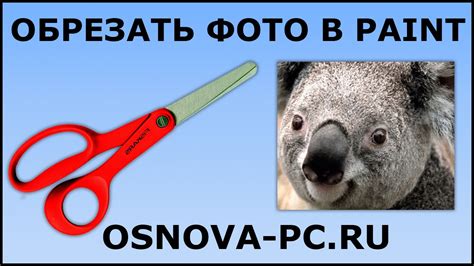 Как обрезать фото или картинку в Paint? - YouTube