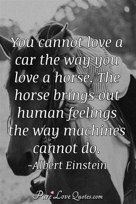 You cannot love a car the way you love a horse. The horse brings out