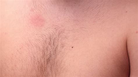 teenage boy chest stock  footage  video clips getty images
