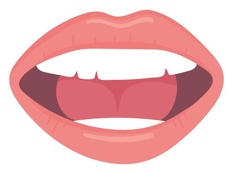 Anatomy Of The Human Mouth 299705 Vector Art At Vecte - vrogue.co