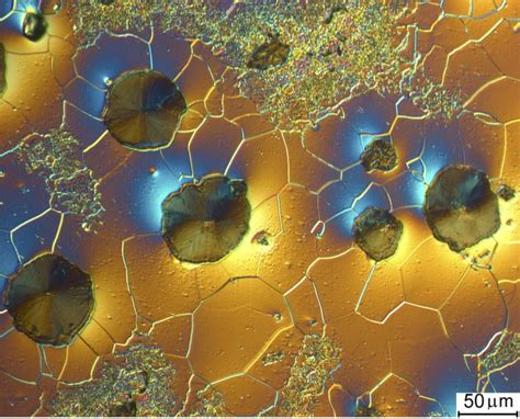 Metallurgical Microscopy Basics & Applications | Bioimager