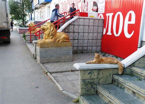 Fake It Til You Make It - I Can Has Cheezburger?