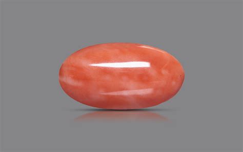 Natural Red Coral - 7.34 carats (GP125248) from Japan | GemPundit