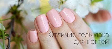 Чем отличается гель-лак от геля, шеллака, обычного лака, базы и гель-краски
