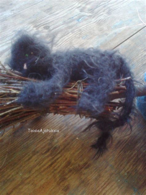 Toisia Ajatuksia: Vanha Noita-Akka