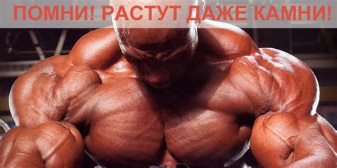 Как набрать мышечную массу