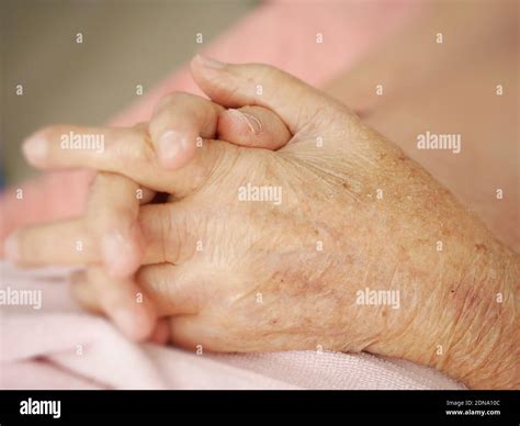 Wizened High Resolution Stock Photography and Images - Alamy