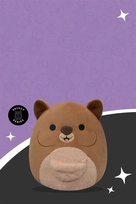 Squishmallow Review — ryanschoice.com